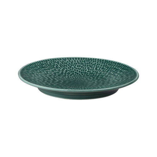 Denby PORCELAIN CARVE GREEN SMALL PLATE