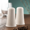 Belleek Living Erne Salt and Pepper Set