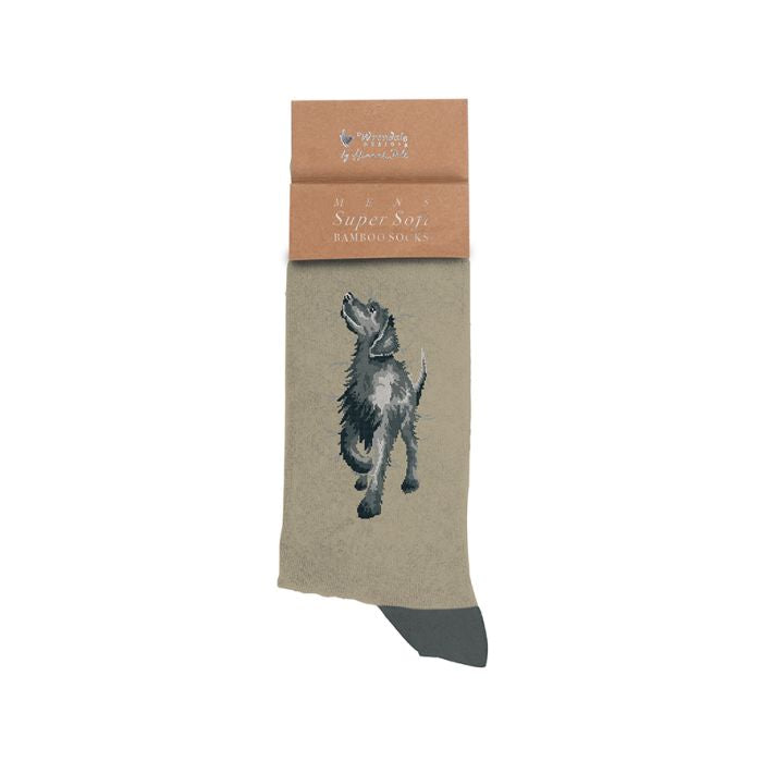 Wrendale Black Labrador Men's Sock - Walkies