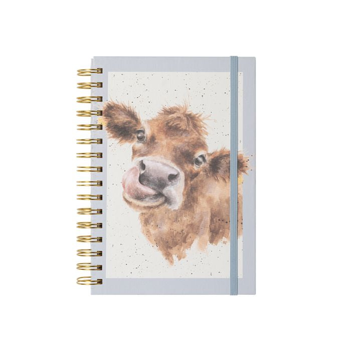 Wrendale A5 Cow Notebook - Mooo (Blue)