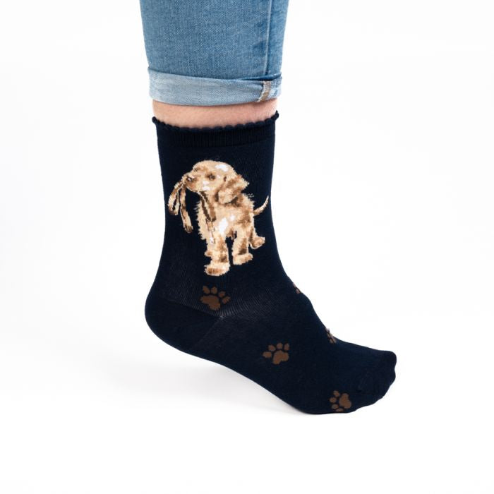 Wrendale Dog Sock - Hopeful - NAVY