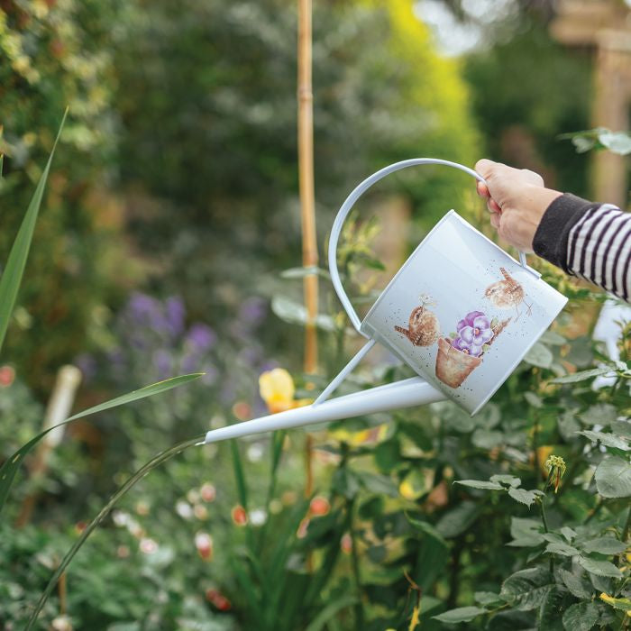 Wrendale Bird Indoor Watering Can - Pottering About