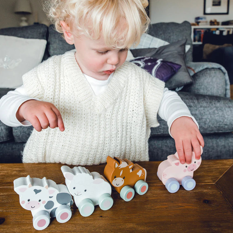 Sheep First Push Toy