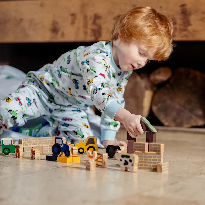 Tractor Ted Wooden Farm Play Blocks