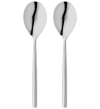 Stellar Rochester 2 piece serving spoon set *