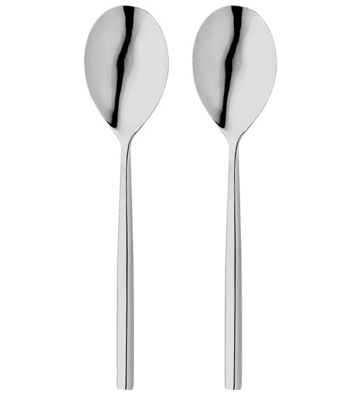 Stellar Rochester 2 piece serving spoon set *