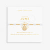 Joma Jewellery 6137 - June A Little Birthstone Gold Bracelet