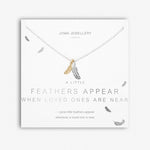 Joma Necklace - Feathers appear when loved ones are near -