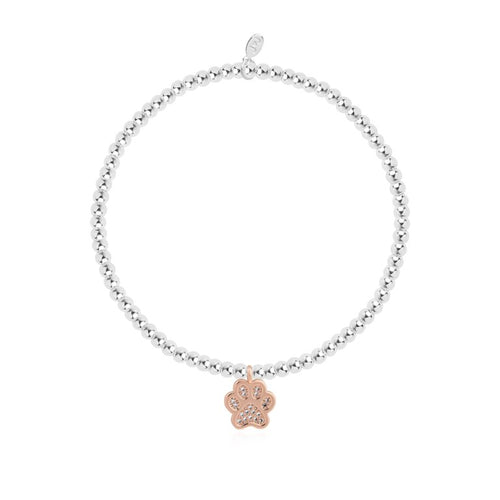 Joma A Little Love Has Four Paws Bracelet