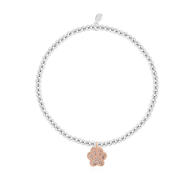 Joma A Little Love Has Four Paws Bracelet