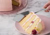 Viners select 18/0 1 piece cake server giftbox