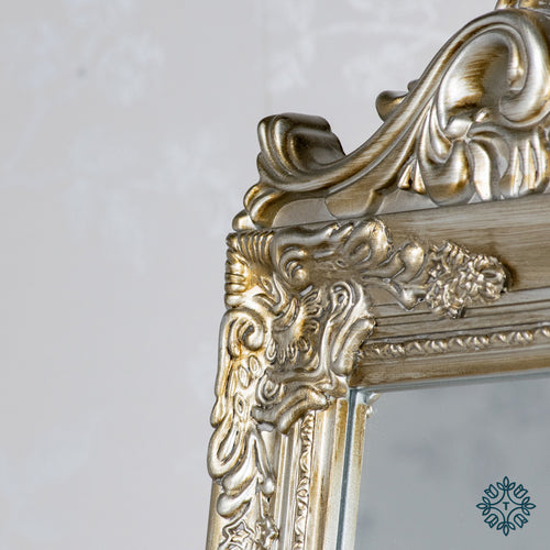 Tara Chateau Cheval Mirror Champagne 40cm x 172cm